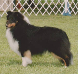 LUCIAN 10 MONTHS