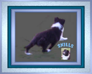 skills12wkmovmentoo.jpg