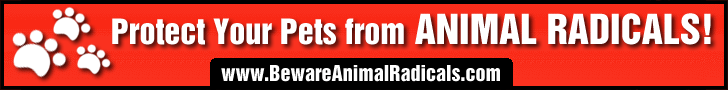 banner.gif