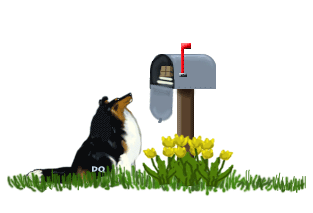newtrimail.gif